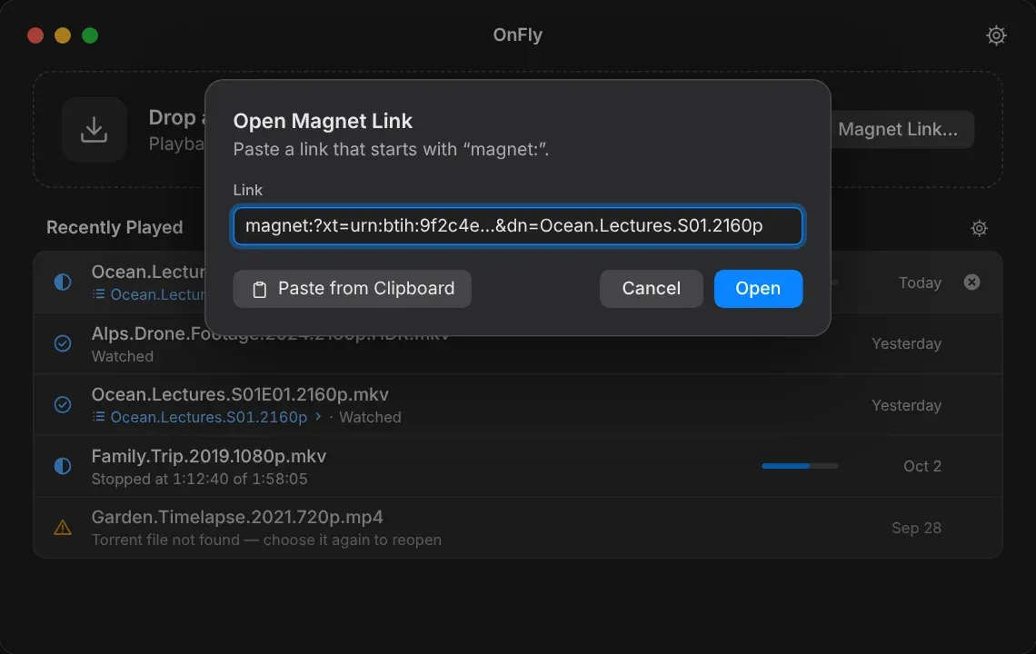 OnFly Open Magnet Link sheet with a field for a magnet link
