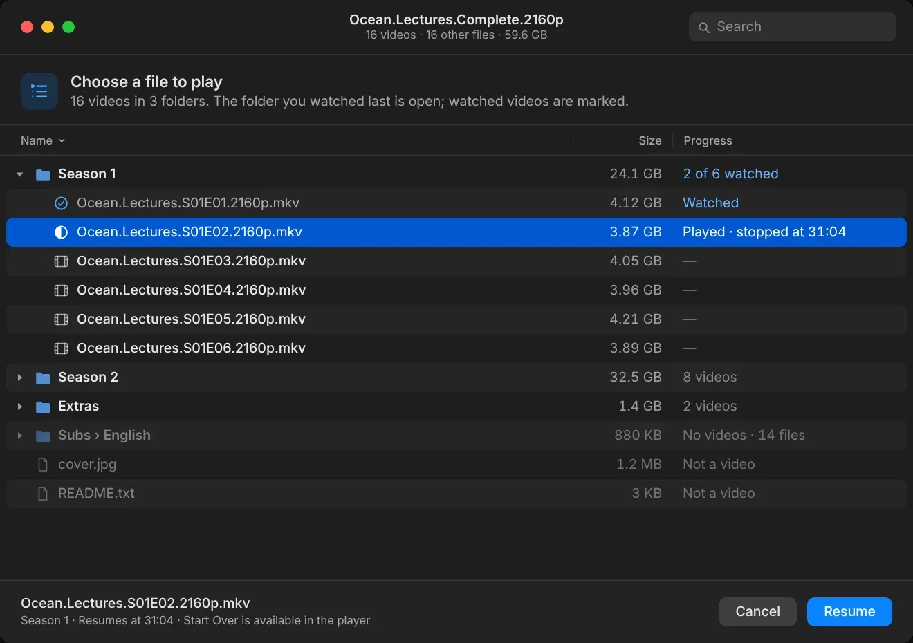 OnFly file chooser listing the videos in a multi-file torrent, with watched markers and a Resume button